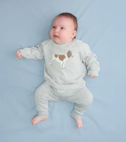 New Baby Boys Little Bulldog Pullover Sweater & Pants Sweaters