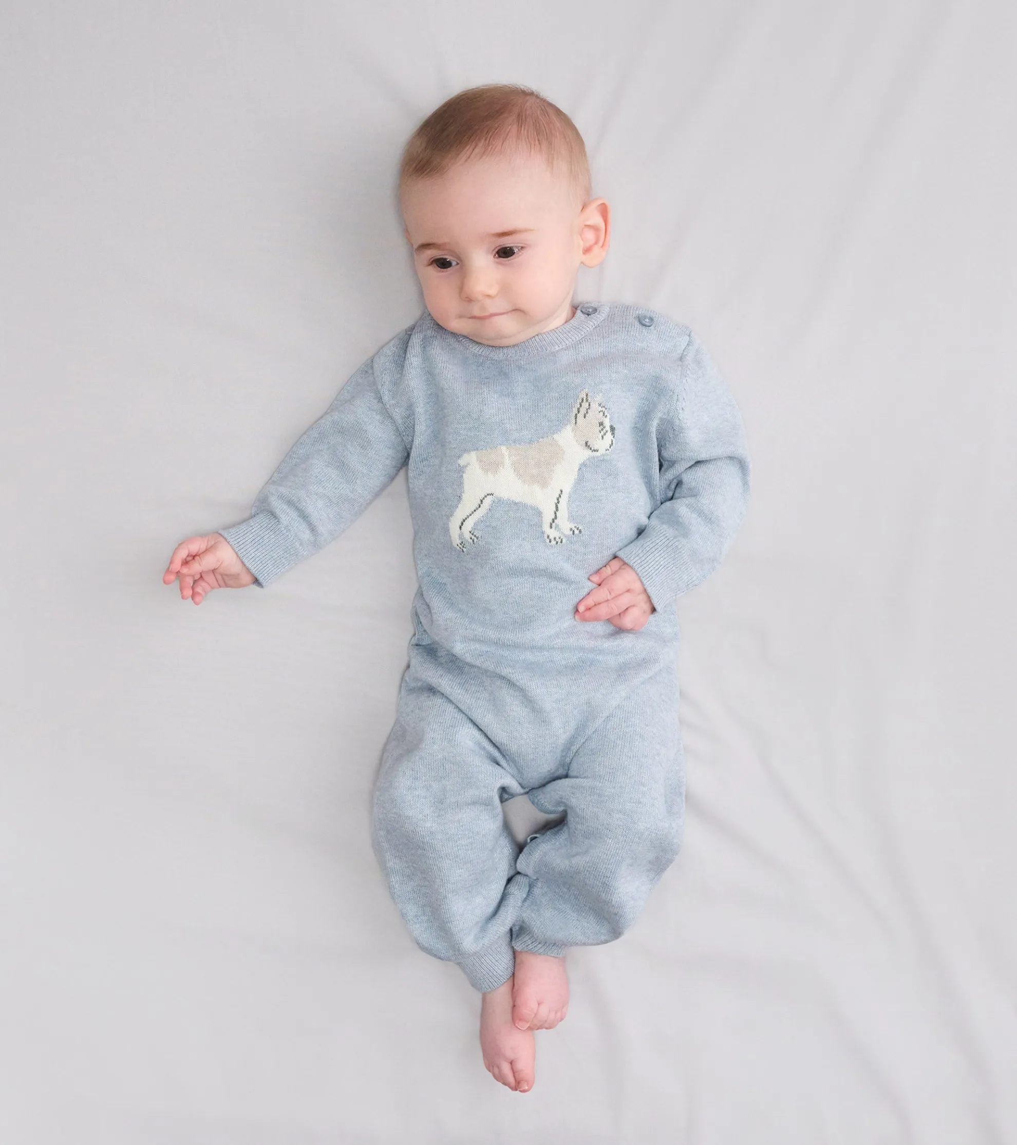 Online Baby Boys Little Bulldog Sweater Romper Sweaters|Rompers