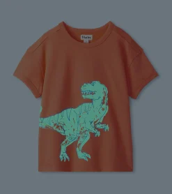Boys Dino Glow Graphic Tee Tops