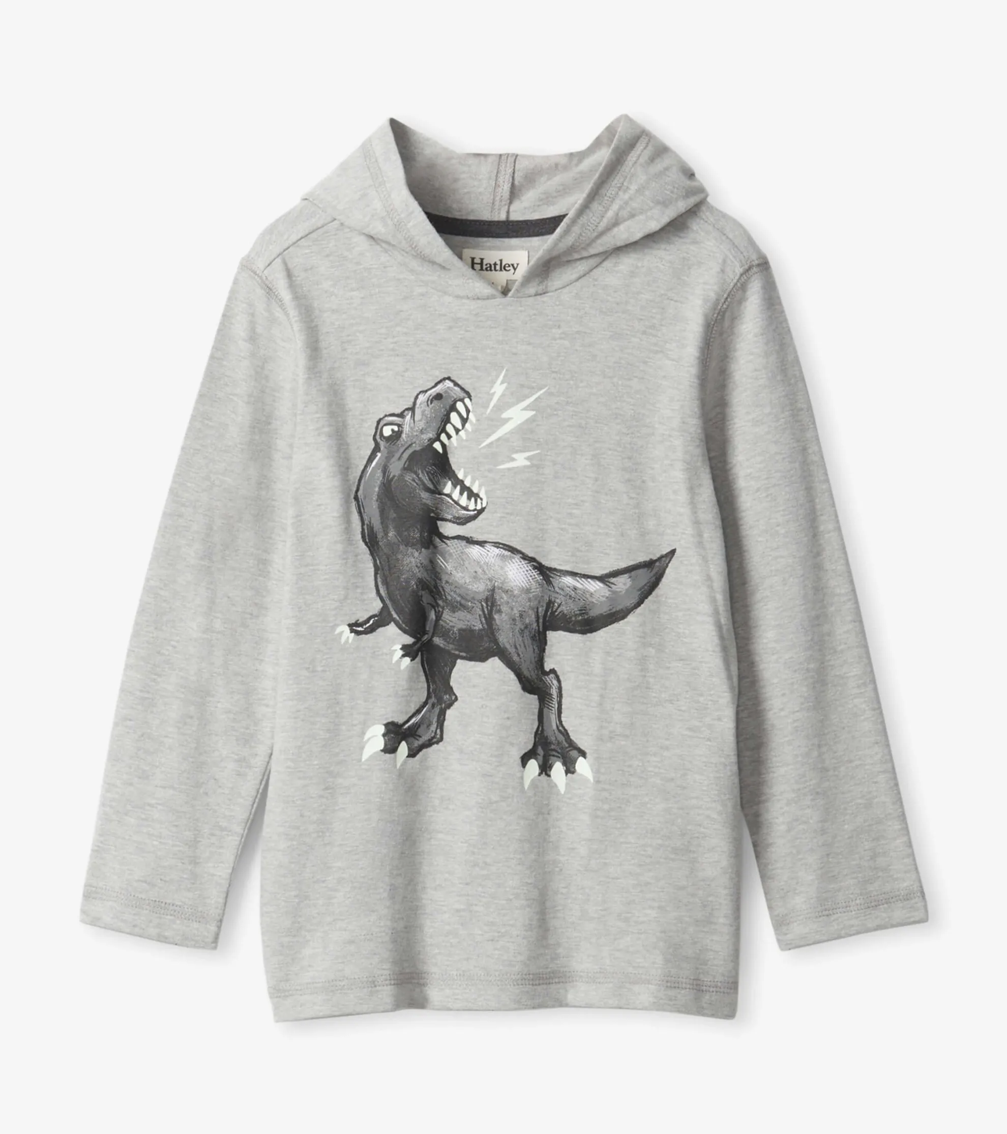 Boys Dino Long Sleeve Hoodie Tee BOY Sweaters