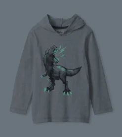 Boys Dino Long Sleeve Hoodie Tee BOY Sweaters