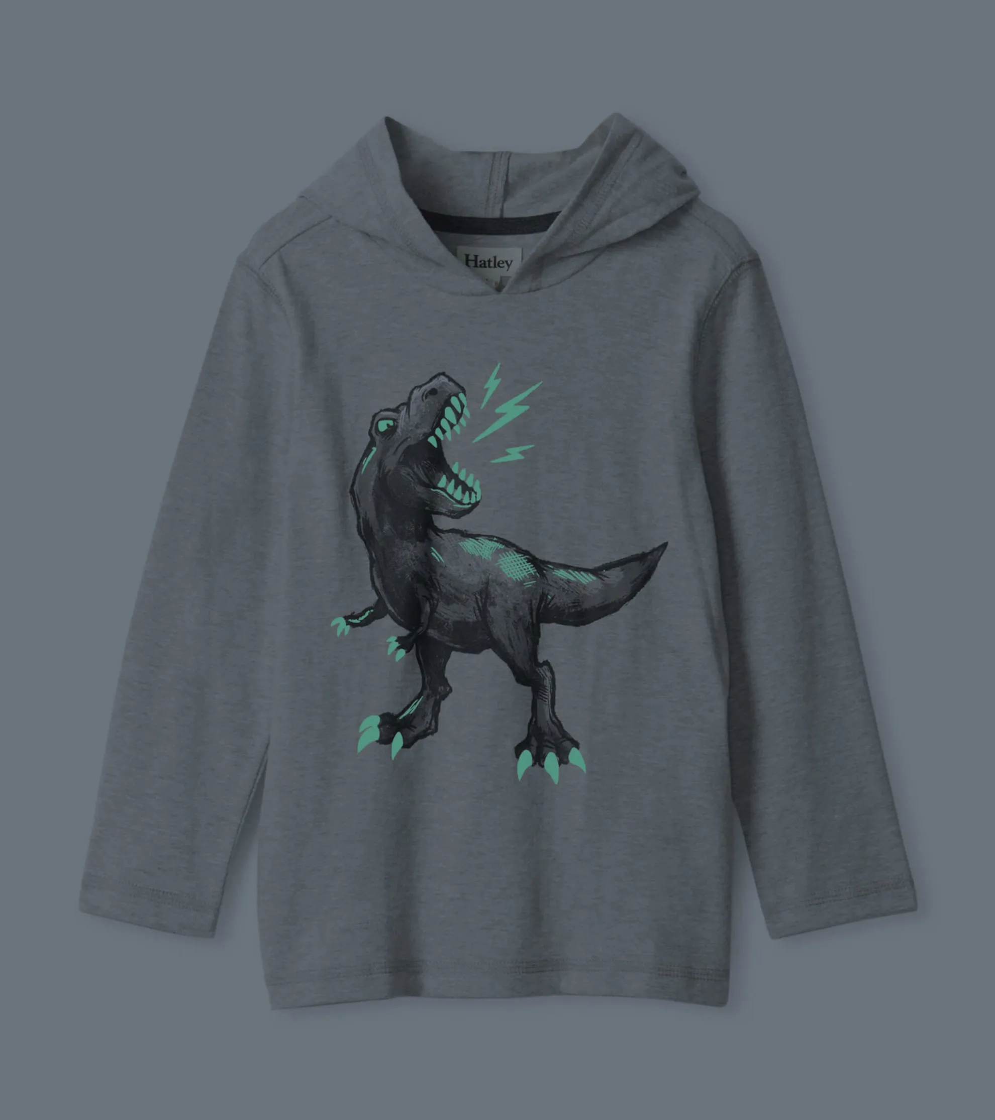 Boys Dino Long Sleeve Hoodie Tee BOY Sweaters
