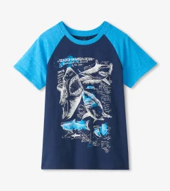Boys Sharks Raglan T-Shirt BOY Tops