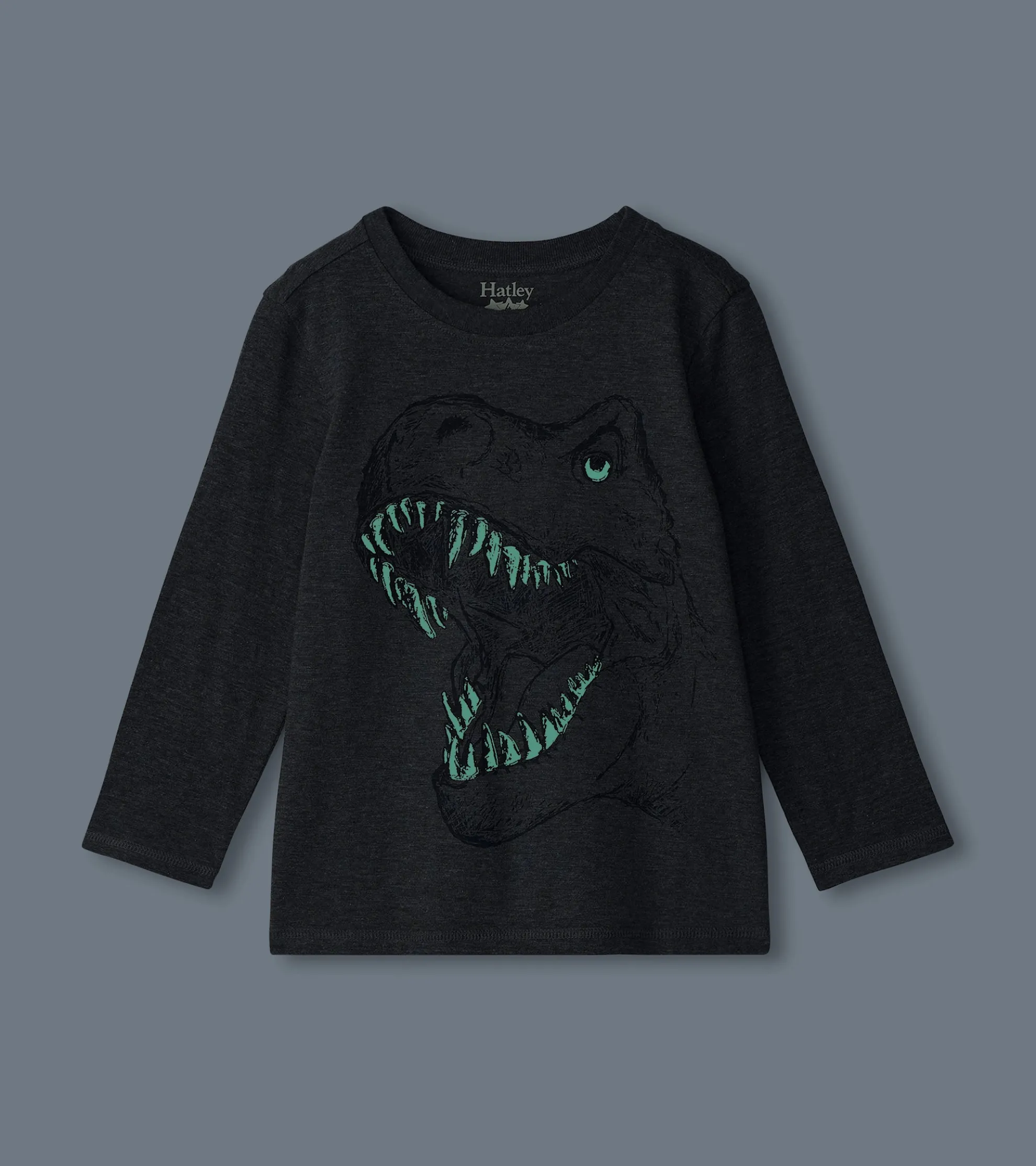 Online Boys T-Rex Glow in the Dark Long Sleeve T-Shirt BOY Tops