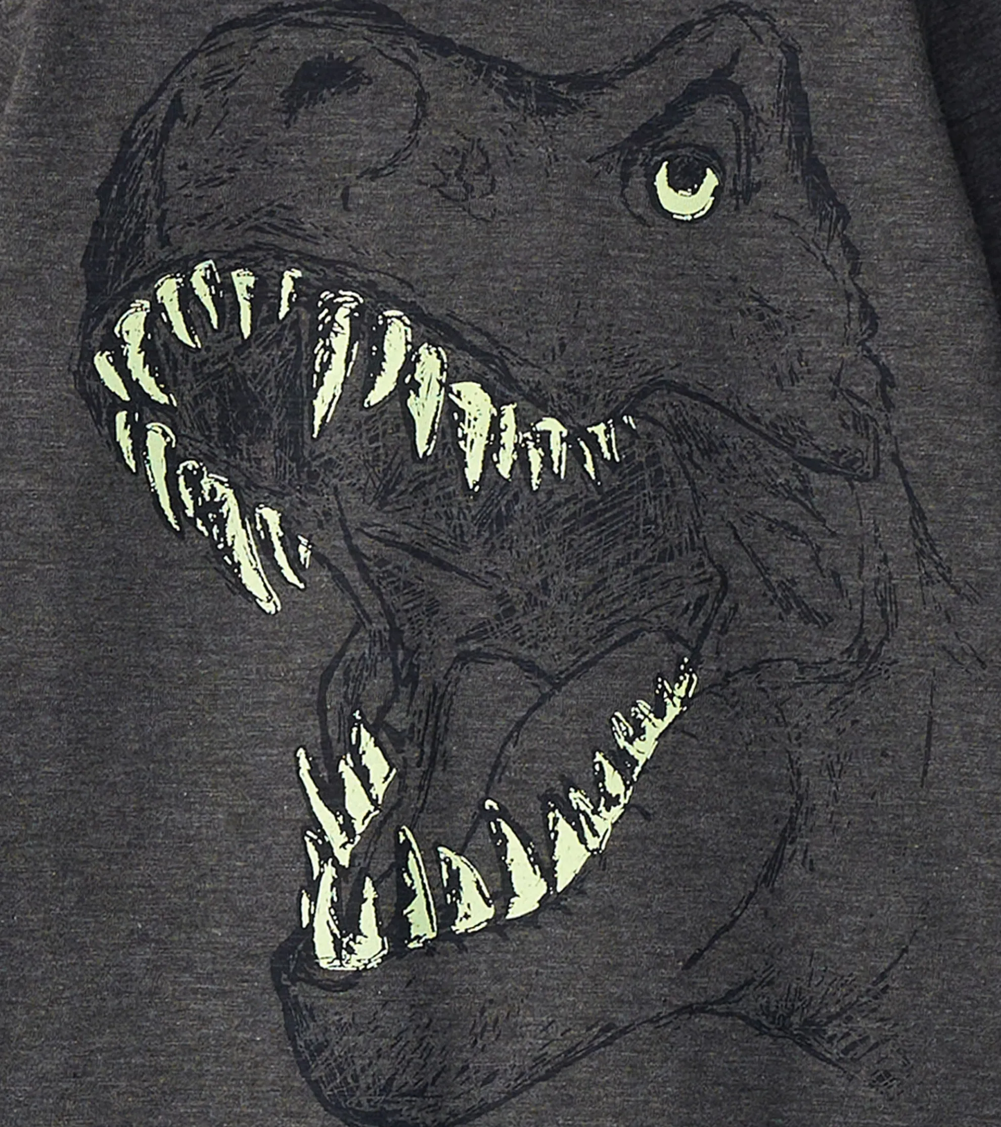 Online Boys T-Rex Glow in the Dark Long Sleeve T-Shirt BOY Tops