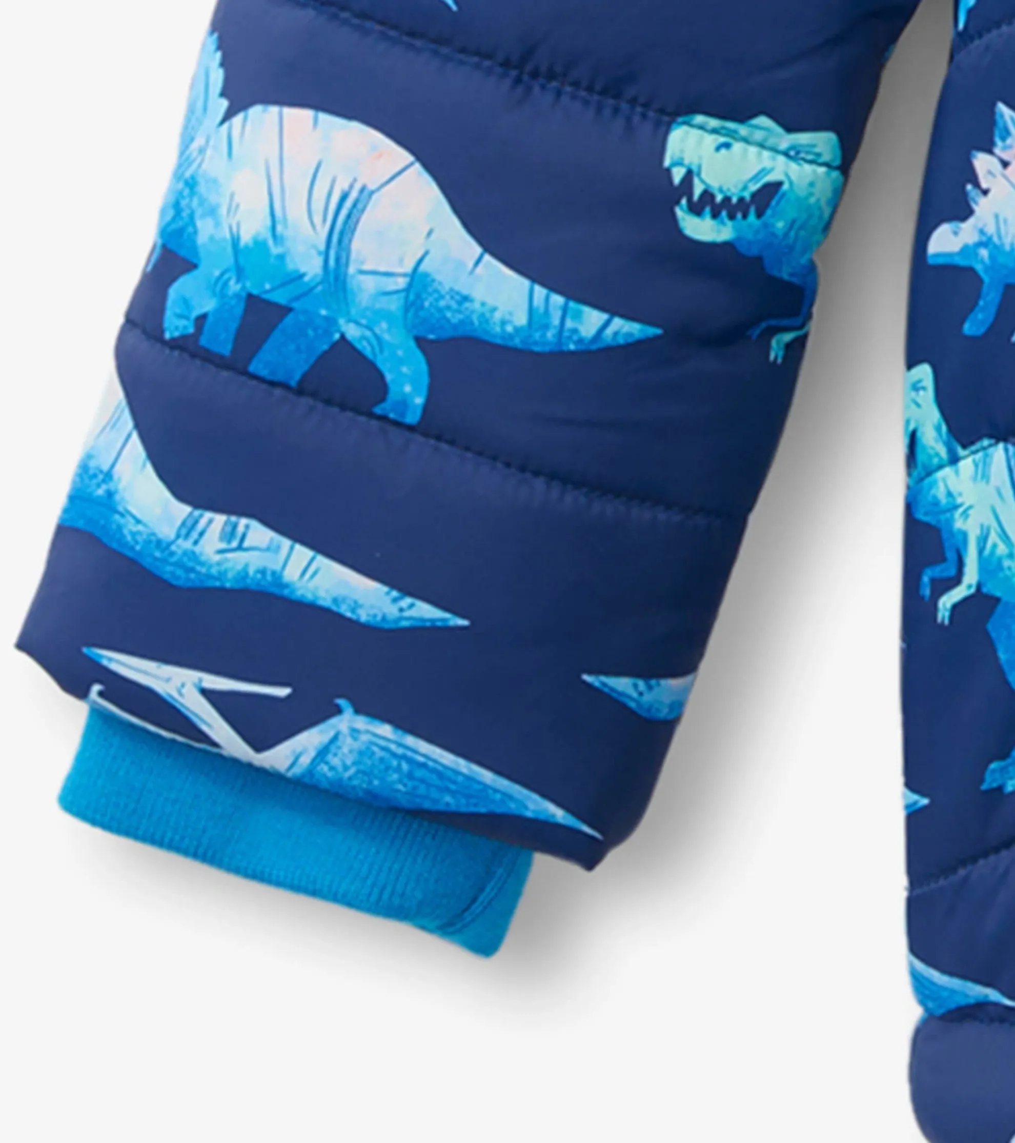 Best Dinosaur Kids Puffer Jacket BOY Outerwear|Outerwear